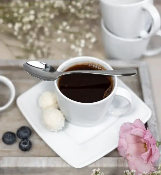 LUBIANA VICTORIA Filiżanka 250 ml + spodek / porcelana