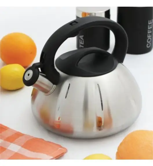 AMBITION MELODY II Czajnik 2,5 l z bakelitowym uchwytem / stal nierdzewna