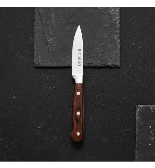 AMBITION TITANIUM Nóż do obierania 9 cm / drewniana rękojeść