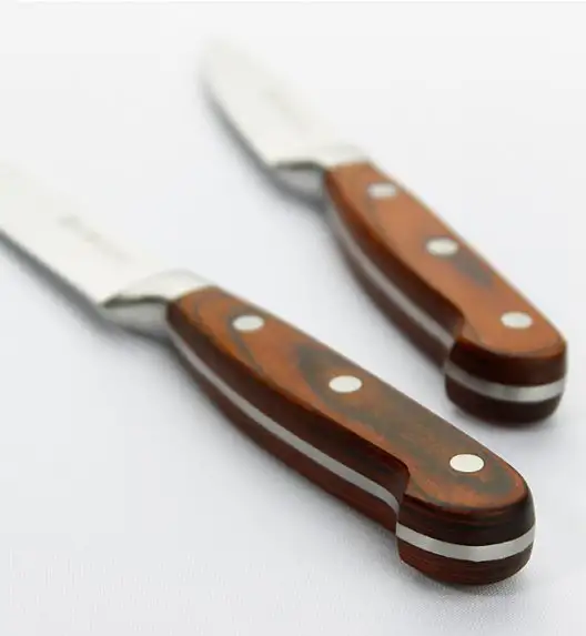 AMBITION TITANIUM Nóż kuchenny 13 cm / drewniana rękojeść