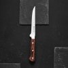 AMBITION TITANIUM Nóż kuchenny do filetowania 15 cm / drewniana rękojeść