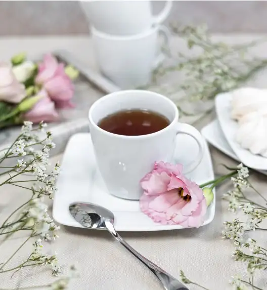 LUBIANA VICTORIA Serwis obiadowo-kawowy 90 el TG / 18 osób