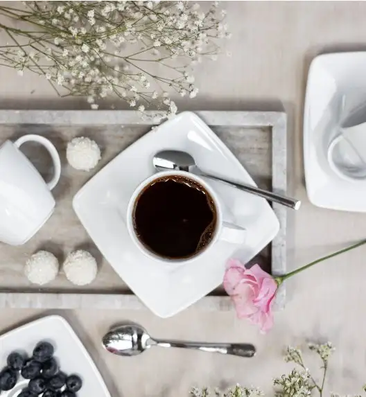 LUBIANA VICTORIA Serwis obiadowo-kawowy 90 el TG / 18 osób