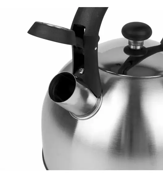 TADAR LARRY Czajnik ze stali nierdzewnej 3,0 l satyna / indukcja