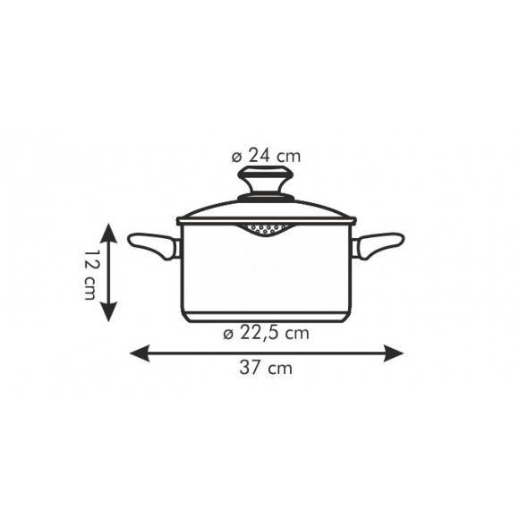 TESCOMA PRESTO Garnek z dzióbkiem 4,5 l z pokrywką 24 cm / stal nierdzewna