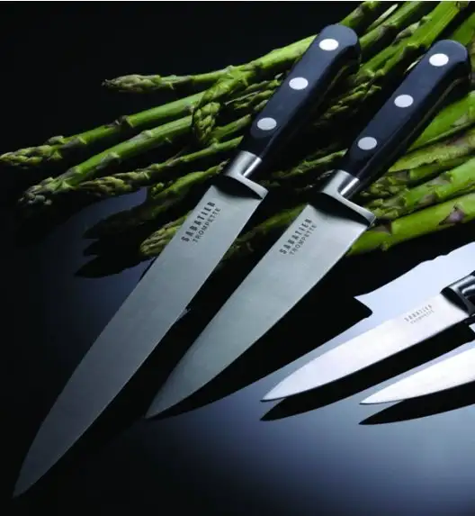 WYPRZEDAŻ! RICHARDSON SHEFFIELD Noże kuchenne Sabatier trompette 5 el w bloku / nitowana rękojeść / stal nierdzewna
