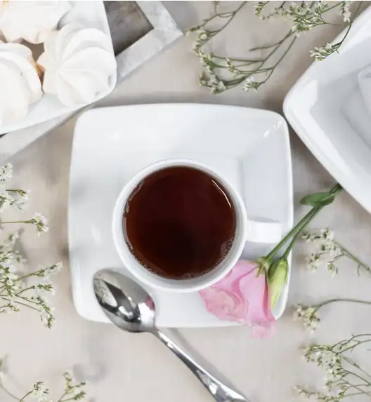 LUBIANA VICTORIA Filiżanka 200 ml + spodek / porcelana