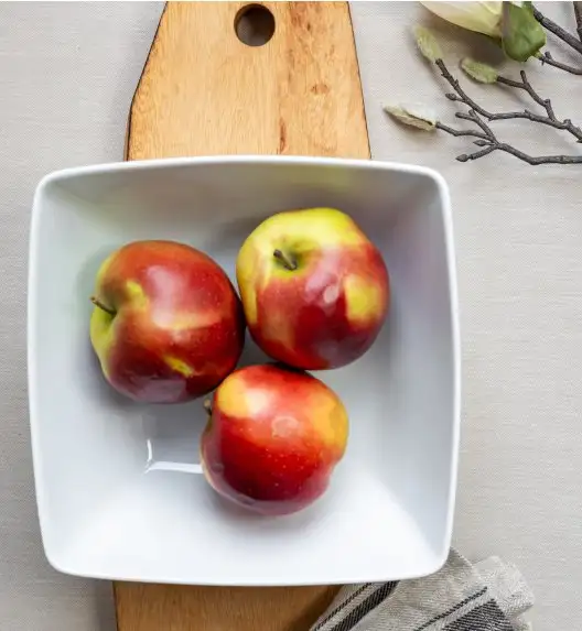 LUBIANA VICTORIA 30 x Salaterka / miska 23 cm 