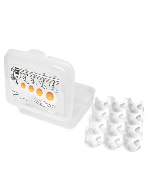 HEGA Pojemnik, wytłoczka do przechowywania 12 jajek / transparentny