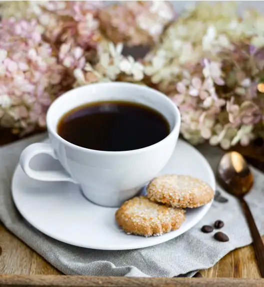 LUBIANA PAULA Filiżanka 290 ml + spodek 17 cm 