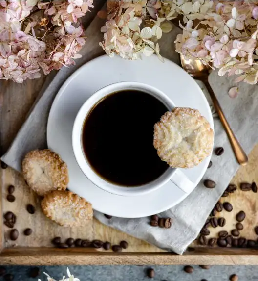 LUBIANA PAULA Komplet filiżanka 290 ml + spodek 17 cm / 6 os / 12 el 