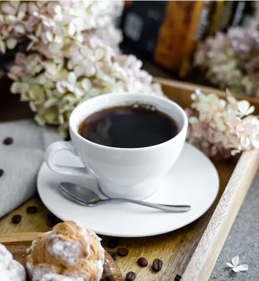 LUBIANA PAULA Komplet filiżanka 290 ml + spodek 17 cm / 6 os / 12 el 