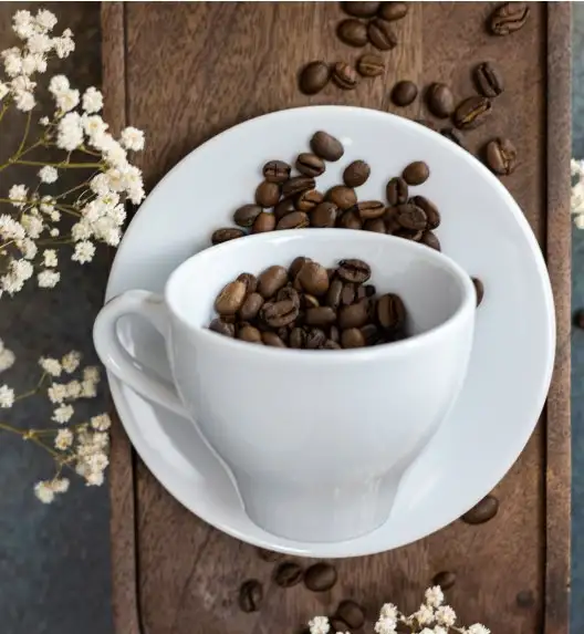 LUBIANA PAULA Filiżanka 200 ml + spodek 14 cm / 6 os / 12 el