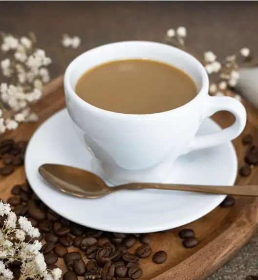 LUBIANA PAULA Filiżanka 200 ml + spodek 14 cm / 6 os / 12 el