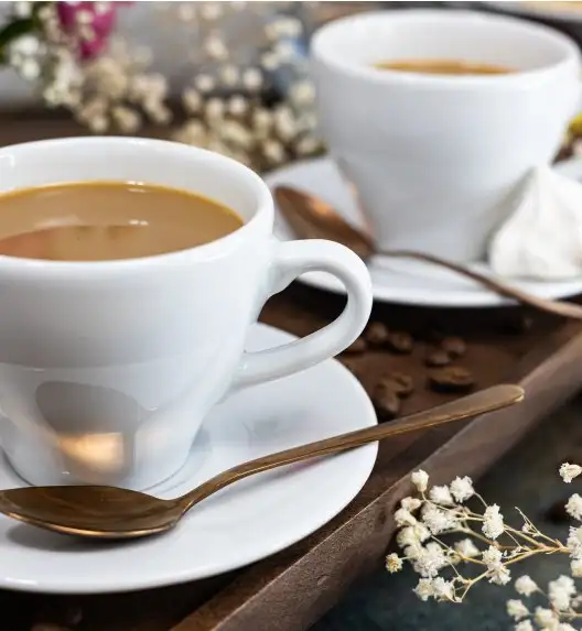 LUBIANA PAULA Filiżanka 200 ml + spodek 14 cm / 12 os / 24 el 