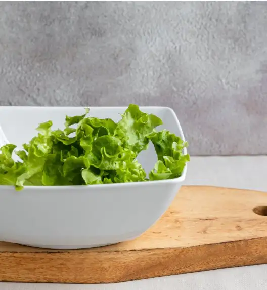 LUBIANA VICTORIA Salaterka / miska 23 cm 