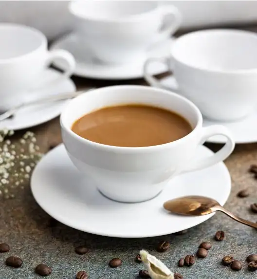 LUBIANA PAULA Filiżanka 300 ml + spodek 17 cm 