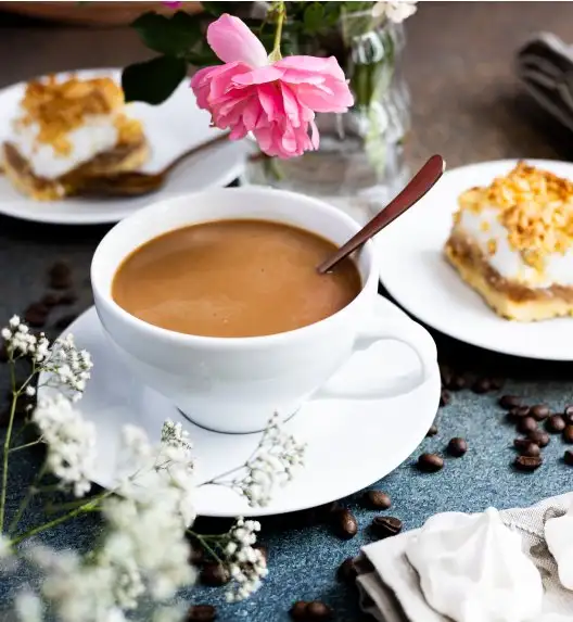 LUBIANA PAULA Filiżanka 300 ml + spodek 17 cm 