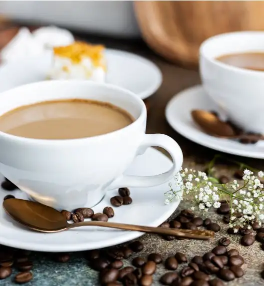 LUBIANA PAULA Komplet Filiżanka 300 ml + spodek 17 cm / 12 os / 24 el 