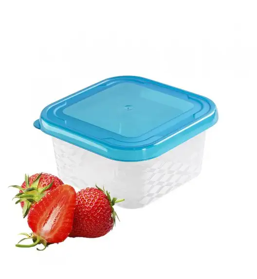BRANQ BLUE BOX 2045 Pojemnik na żywność 450 ml z pokrywką