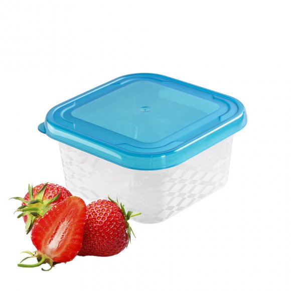 BRANQ BLUE BOX 2045 Pojemnik na żywność 450 ml z pokrywką