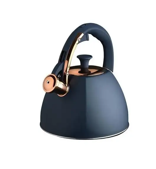 STARKE PRO GRAVA Czajnik z gwizdkiem 2.5 l / indukcja / granatowy