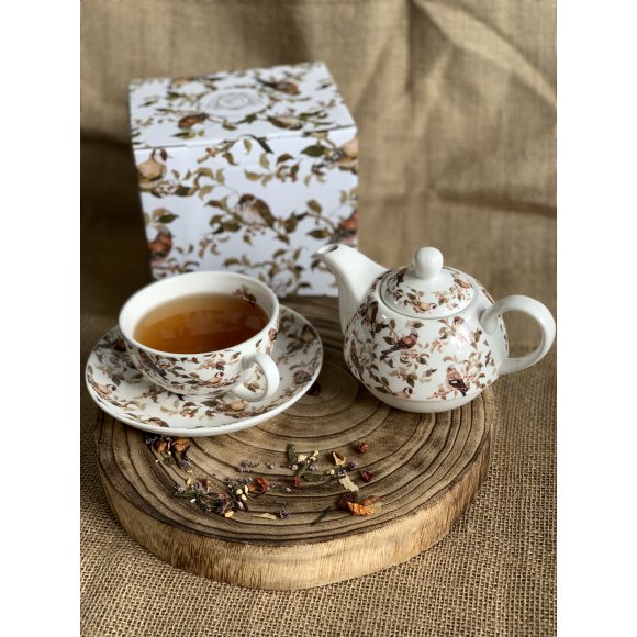 DUO PTASZKI Tea for one - Filiżanka z dzbankiem 350 ml i spodkiem / porcelana