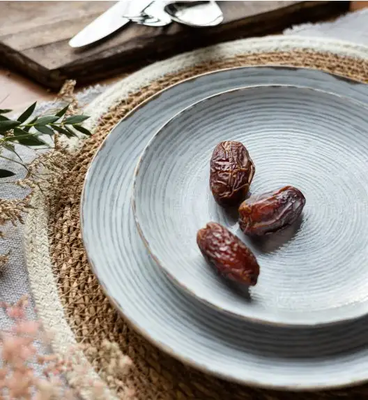 LUBIANA BOSS KERAJET | 101 KJ RAYADO | Serwis obiadowy 18/54 elementy | 9015