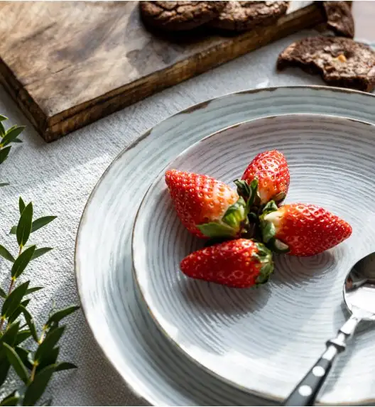 LUBIANA BOSS KERAJET | 101 KJ RAYADO | Serwis obiadowy 18/54 elementy | 9015