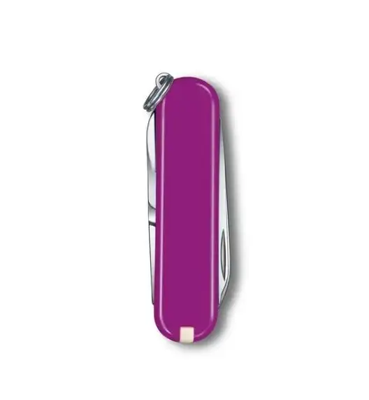 VICTORINOX CLASSIC 0.6223.52G SD 