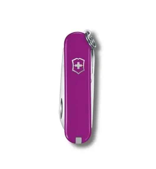 VICTORINOX CLASSIC 0.6223.52G SD 