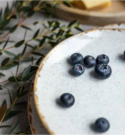 LUBIANA BOSS KERAJET | 103 KJ REACTIVO | 12x Talerz deserowy 20,5 cm | 9018