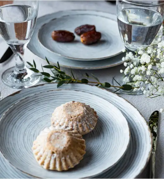 LUBIANA BOSS KERAJET | 101 KJ RAYADO | 12x Talerz obiadowy 27 cm  | 9015