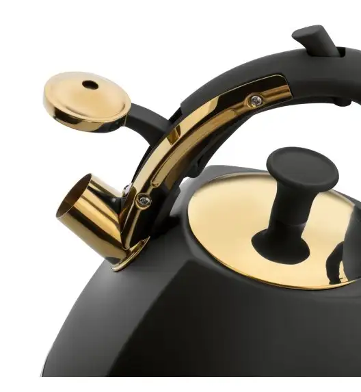 STARKE PRO GRAVA Czajnik z gwizdkiem 2.5 l / indukcja / czarny