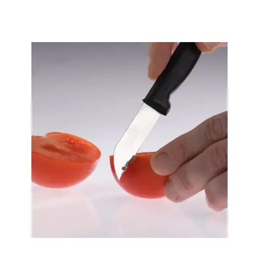 WESTMARK TECHNO Nóż kuchenny 7 cm / luzem