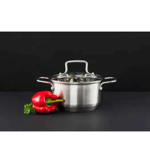 AMBITION HUGO Garnek z pokrywką 18 cm / stal nierdzewna / indukcja