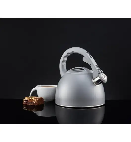 AMBITION GRIS Czajnik z gwizdkiem 2,5 l / szary / indukcja