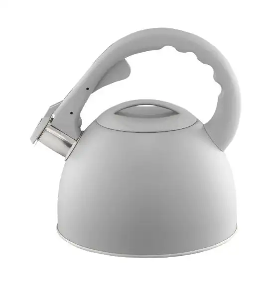 AMBITION GRIS Czajnik z gwizdkiem 2,5 l / szary / indukcja