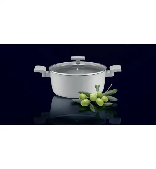 AMBITION GRIS Garnek z pokrywką 24 cm / 4,1 l / aluminium / z powłoką Qualum Basic