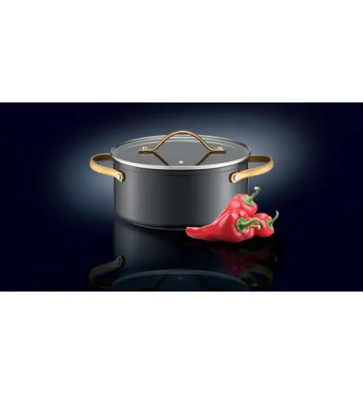 AMBITION ROYAL Garnek z pokrywką 24 cm / 4,6 l / aluminium / z powłoką Qualum Basic