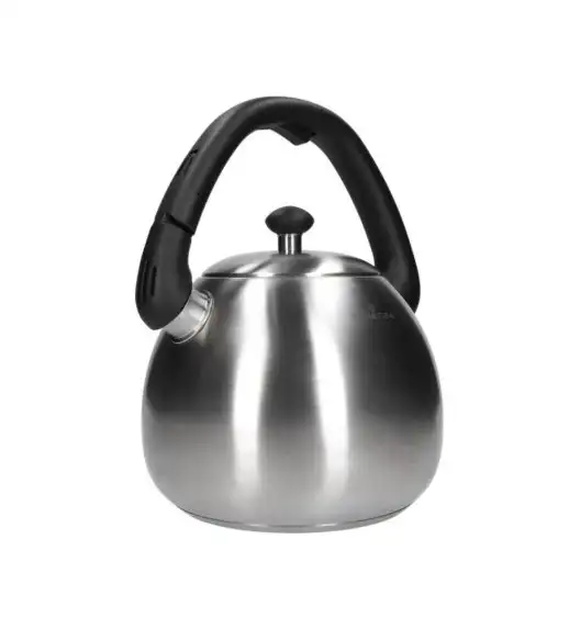 ZWIEGER VISIONARY Czajnik 3 l / srebrny / stal nierdzewna