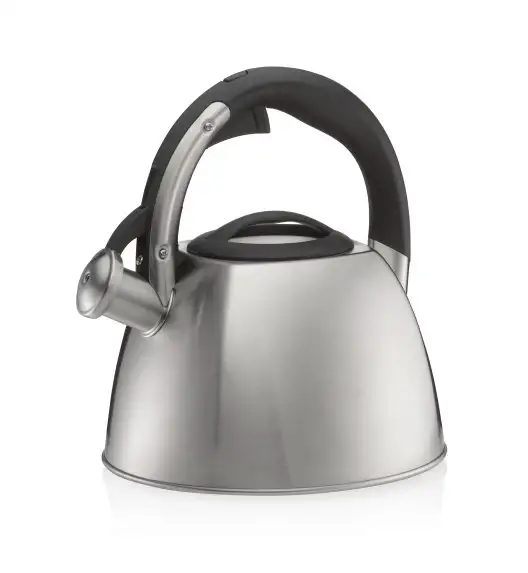 WYPRZEDAŻ! KELA VITUS Czajnik z gwizdkiem 2,4 l indukcja / metaliczny matowy / FreeForm