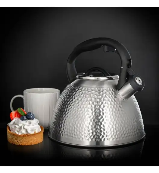 AMBITION BUBBLE CZAJNIK 2,6L(3,2L)SATYNA IND