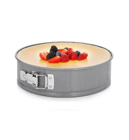 AMBITION LIGNE TORTOWNICA 24CM