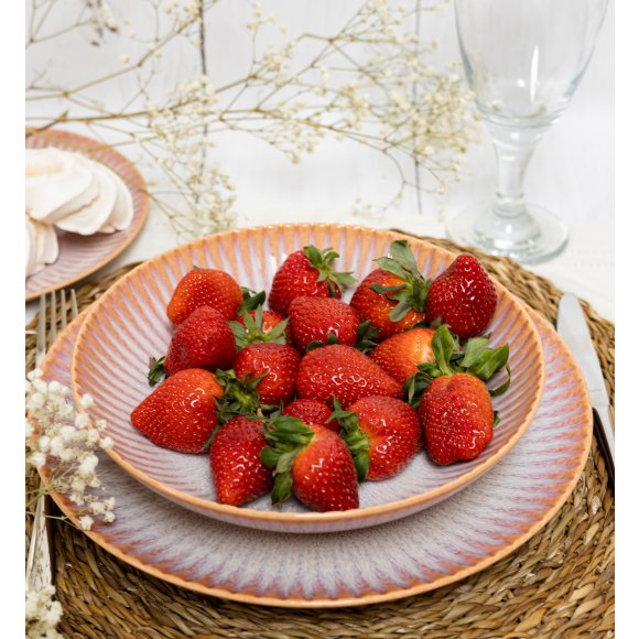LUBIANA STONEWARE CERAMIKA BLUSH | Serwis obiadowy 96 elementów dla 24 osób | kolor łososiowy