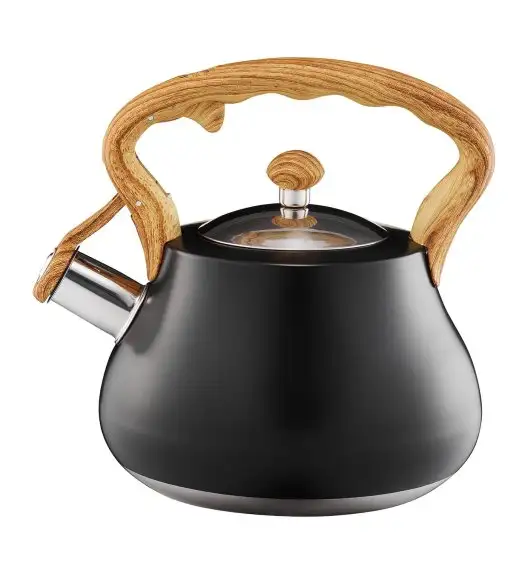 AMBITION | FLAVIO CZAJNIK 2L(2,5L) CZARNY IND