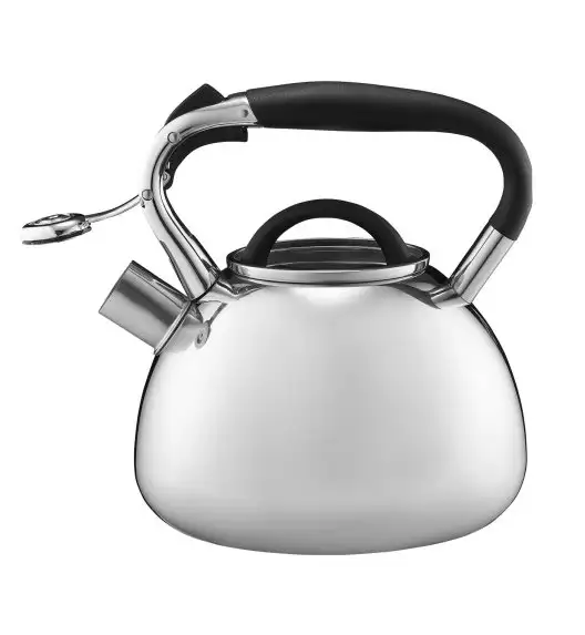 AMBITION | OCTAVIO CZAJNIK 2,3L(2,8L)SATYNA IND