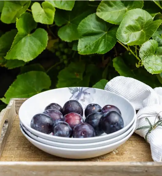 LUBIANA BOSS KERAJET MAGNOLIA 9218 Serwis obiadowy 54 el / 18 osób | 775KJ