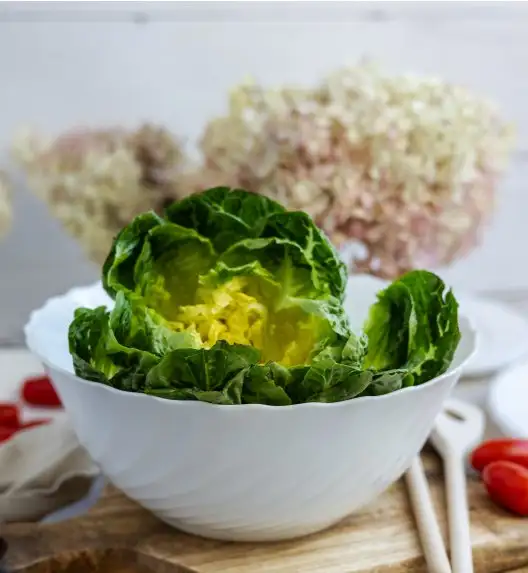 LUMINARC TRIANON Salaterka 24 cm / szkło hartowane