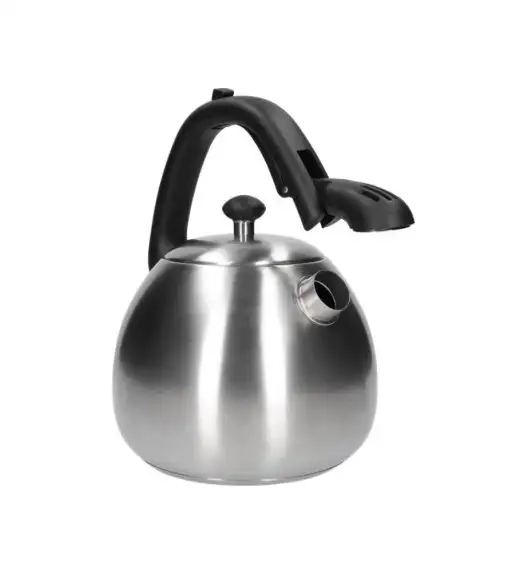 WYPRZEDAŻ! ZWIEGER VISIONARY Czajnik 3 l / srebrny / stal nierdzewna / LEKKIE RYSY I WGNIECENIA